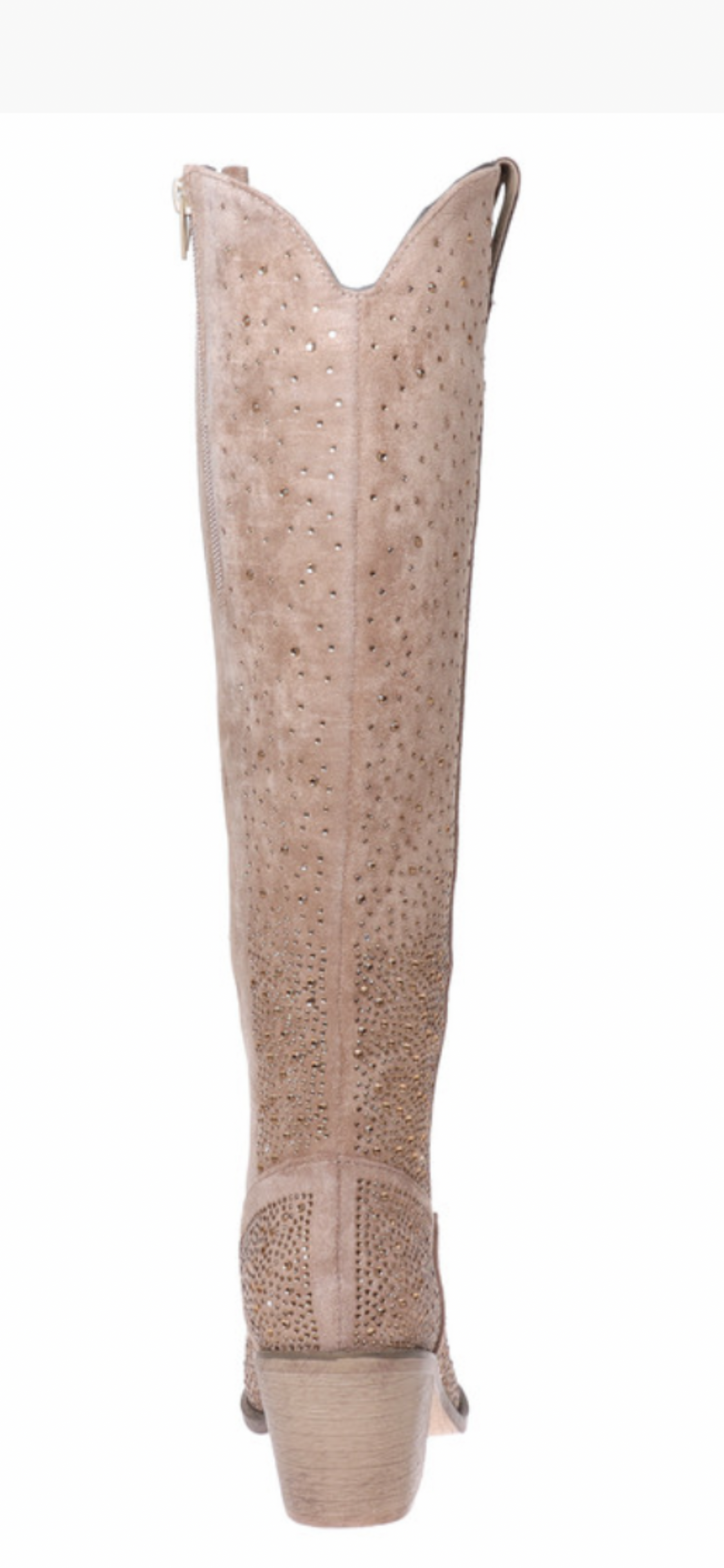 Pierre Dumas Wilder Sparkle Boot
