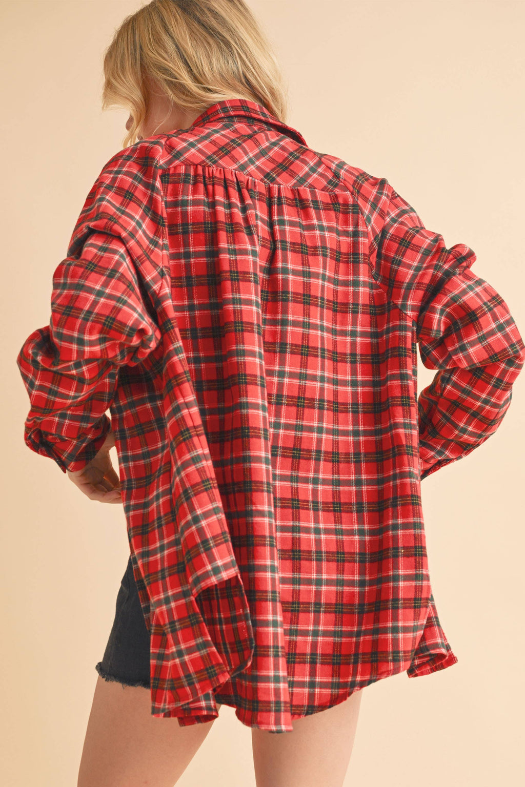 8375EN Abri Plaid Flannel Shirt 3